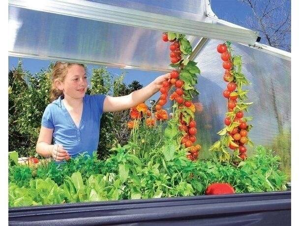 Теплица Palram Plant Inn 4х4