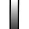 Зеркало напольное BeautyStyle 8 черный 138 см х 35 см